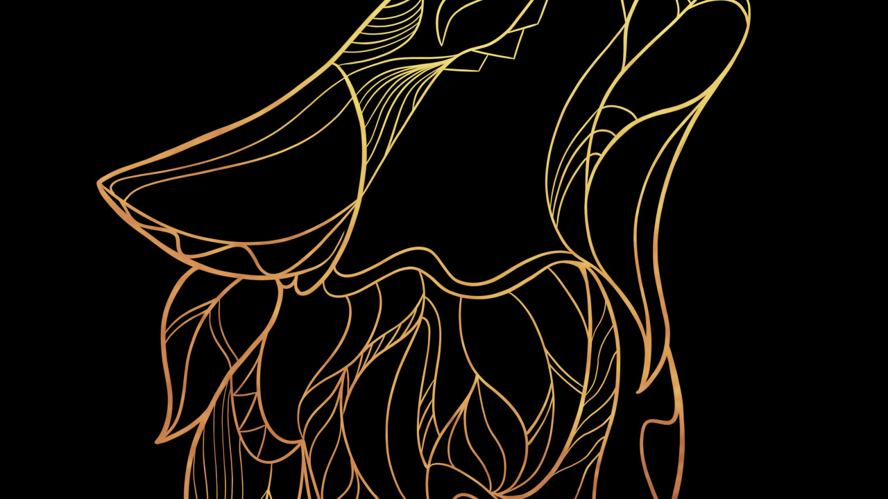 Обои арт, жест, крыло, наручные, хвост в разрешении 1280x720