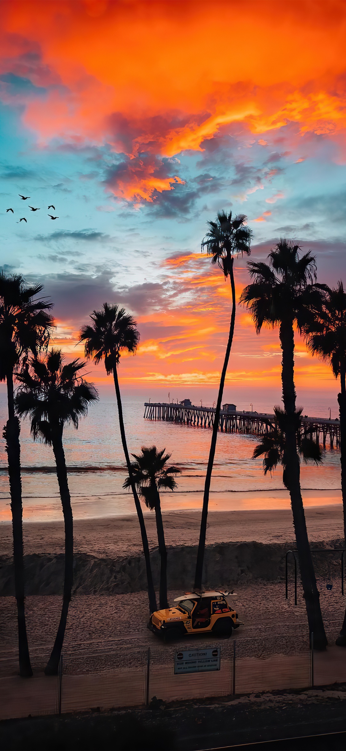 Обои послесвечение, облако, вода, растение, природа в разрешении 1125x2436