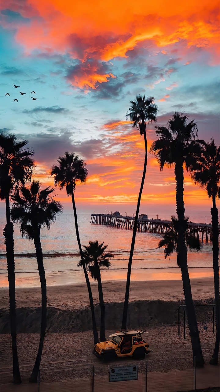 Обои послесвечение, облако, вода, растение, природа в разрешении 720x1280