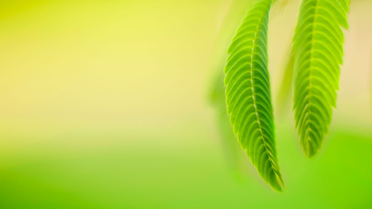 Обои windows, windows 10, Windows 8, windows 8 1, microsoft windows в разрешении 1280x720