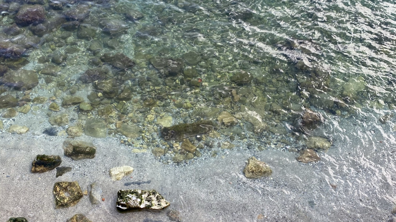 Обои вода, физика, наука, гидроресурсы, окружающая среда в разрешении 1280x720