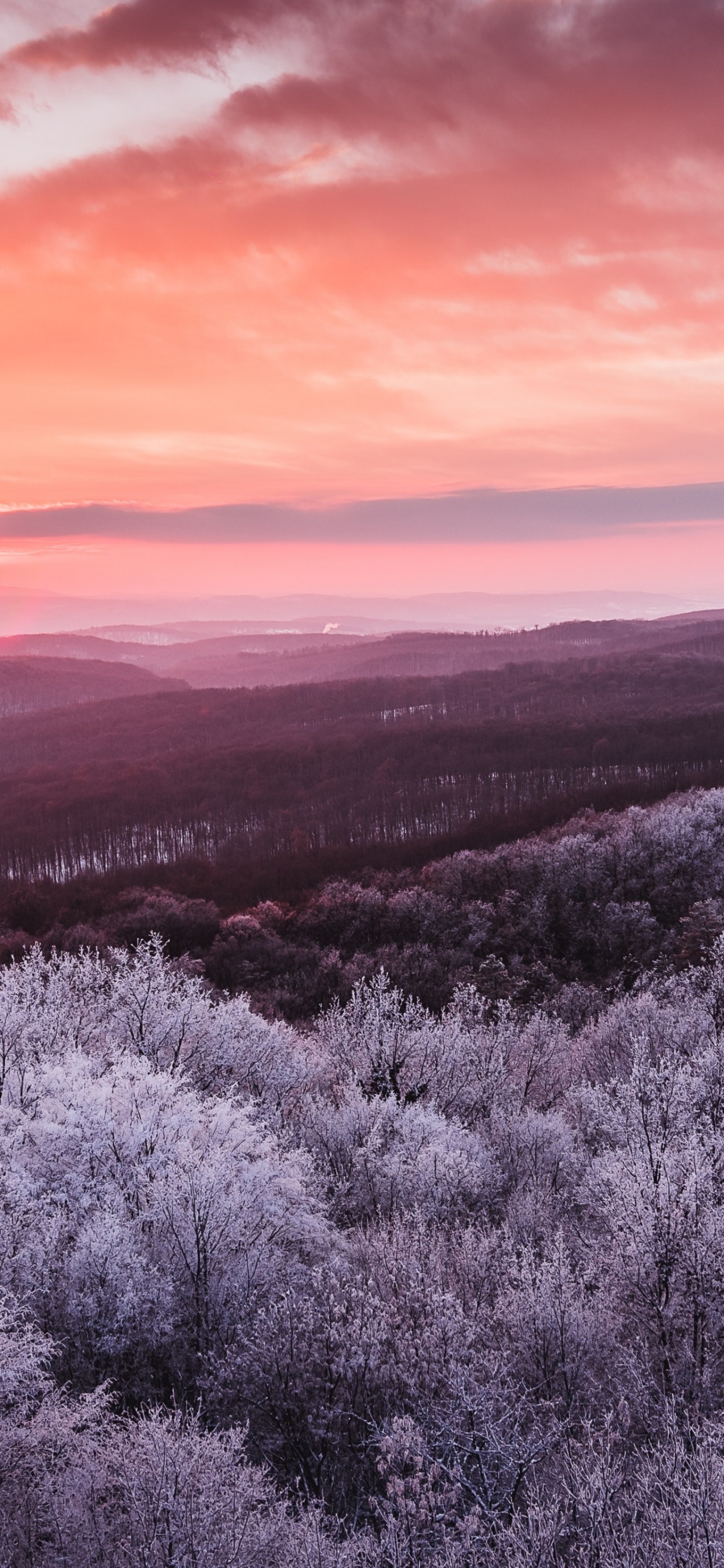 Обои облако, атмосфера, природный ландшафт, пурпур, солнечный свет в разрешении 1242x2688