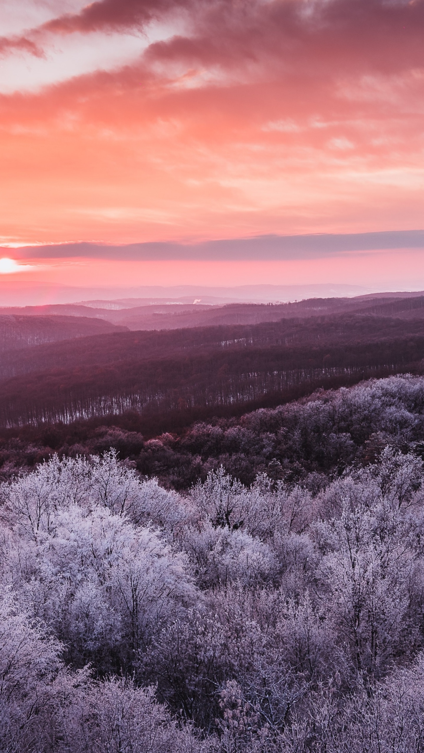 Обои облако, атмосфера, природный ландшафт, пурпур, солнечный свет в разрешении 1440x2560