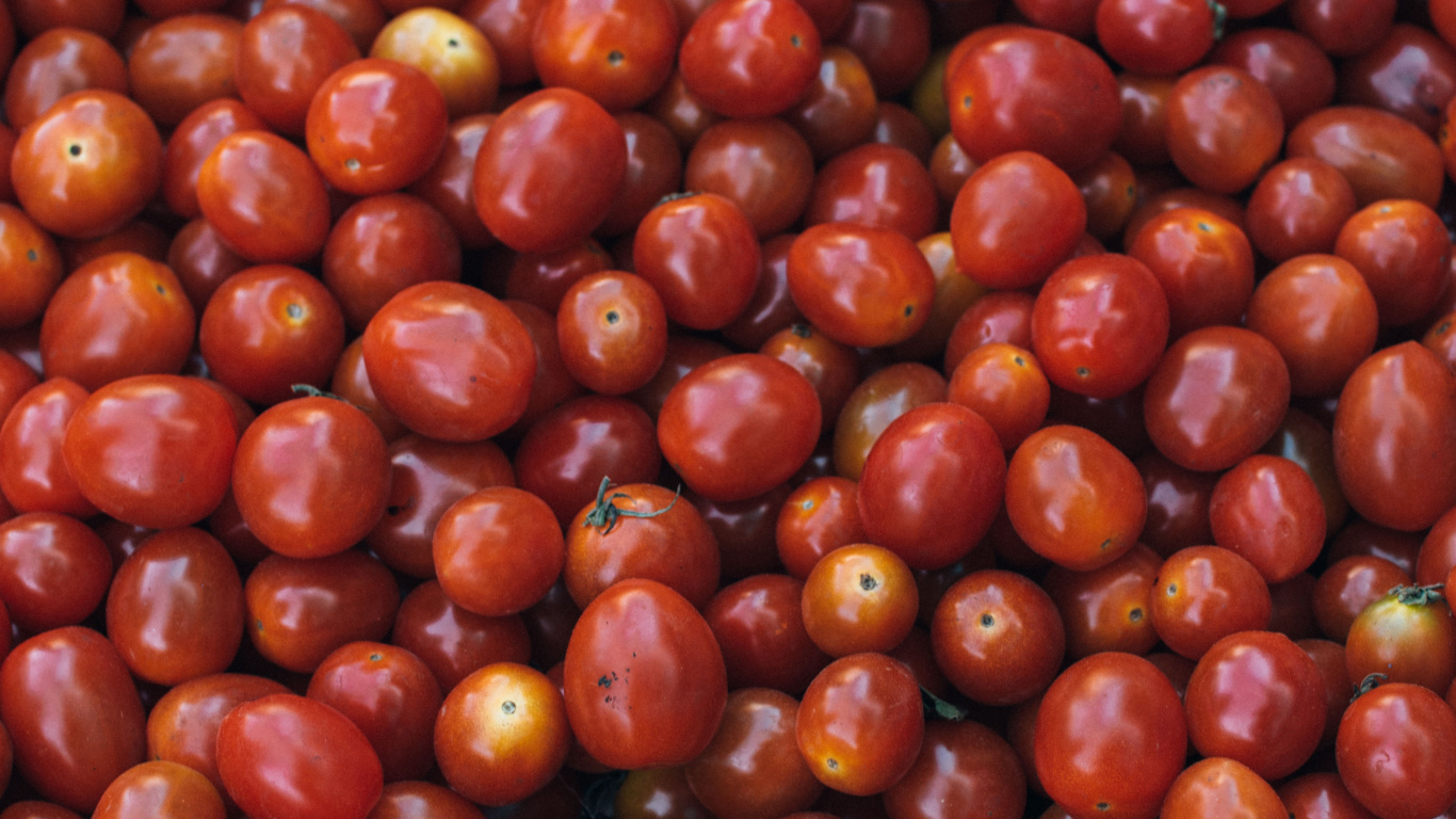 Обои вегетарианская кухня, овощ, фрукты, продукция, ягоды в разрешении 1366x768