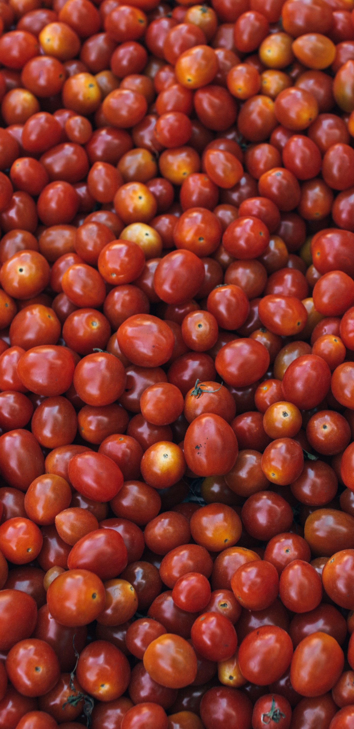 Обои вегетарианская кухня, овощ, фрукты, продукция, ягоды в разрешении 1440x2960