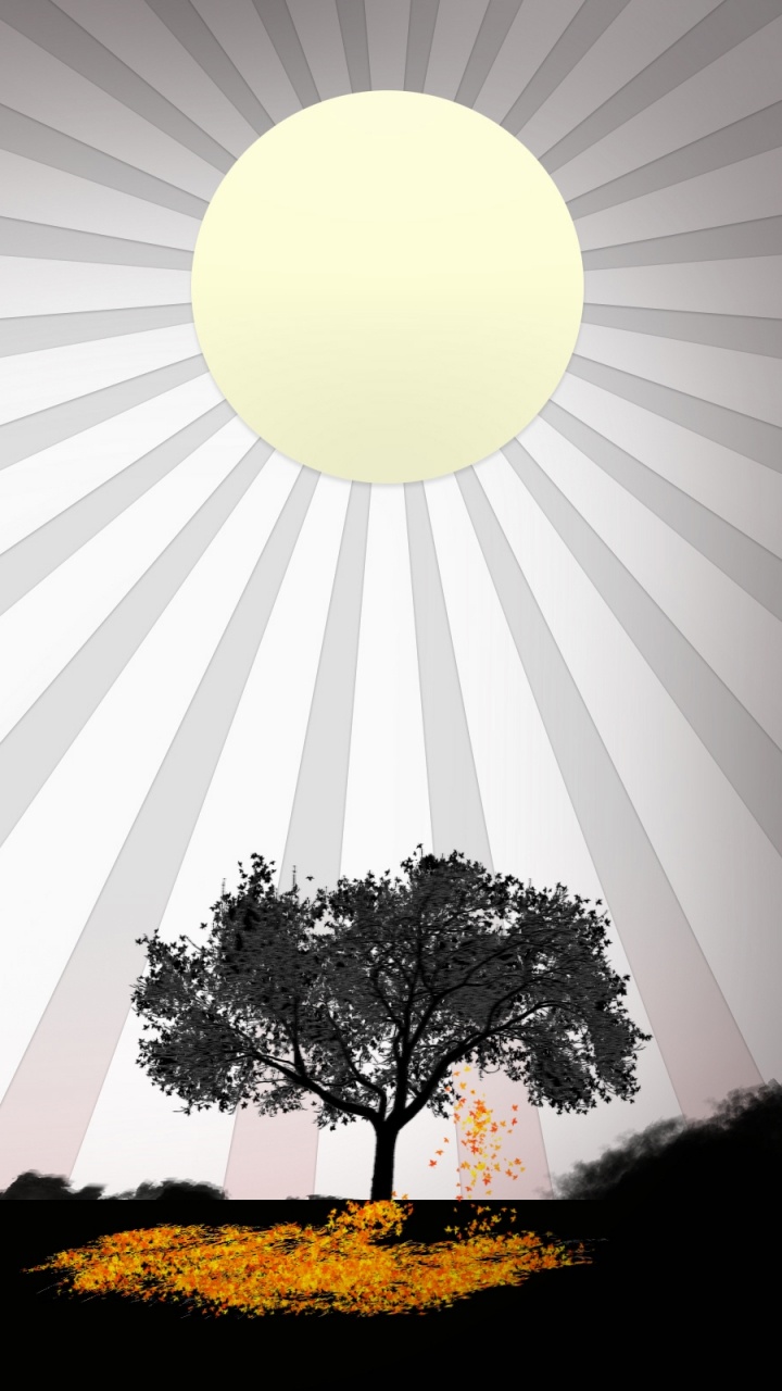 Обои векторная графика, линия, солнечный свет, черно-белая фотография в разрешении 720x1280