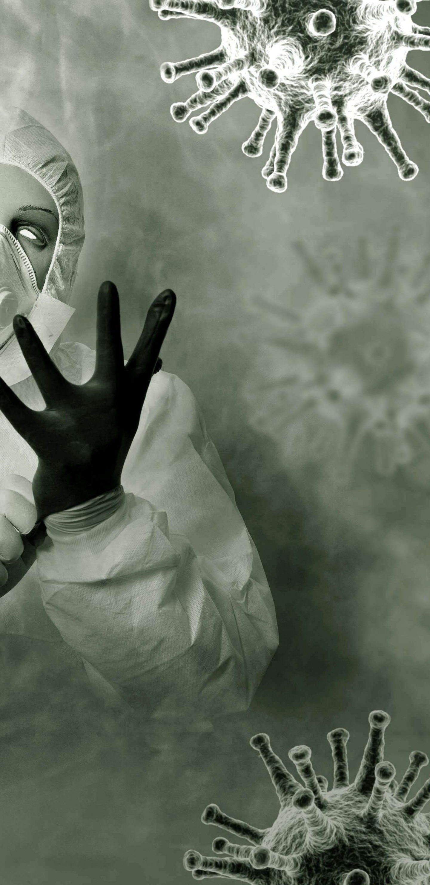 Обои вирус, COVID-19, последний мир, мир, пандемия в разрешении 1440x2960