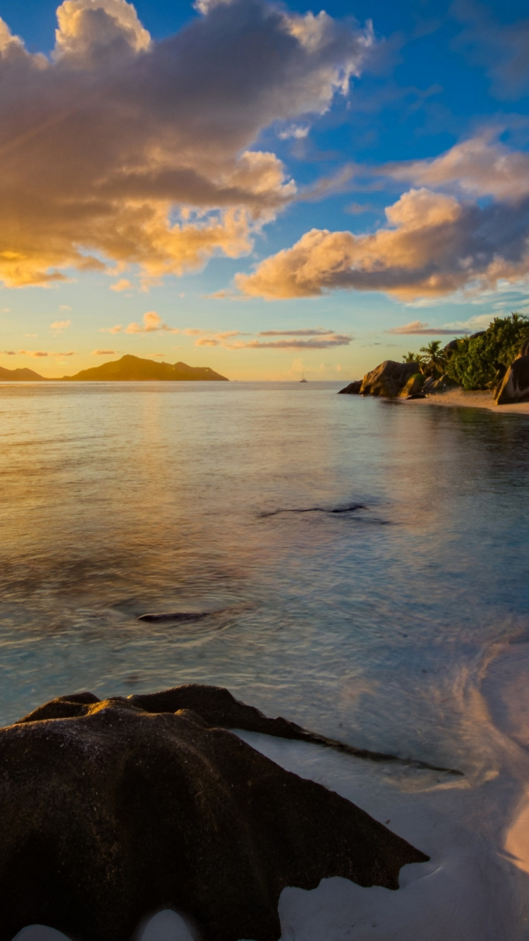 Обои пляж, Анс даржан источник, Мальдивы, море, побережье в разрешении 750x1334