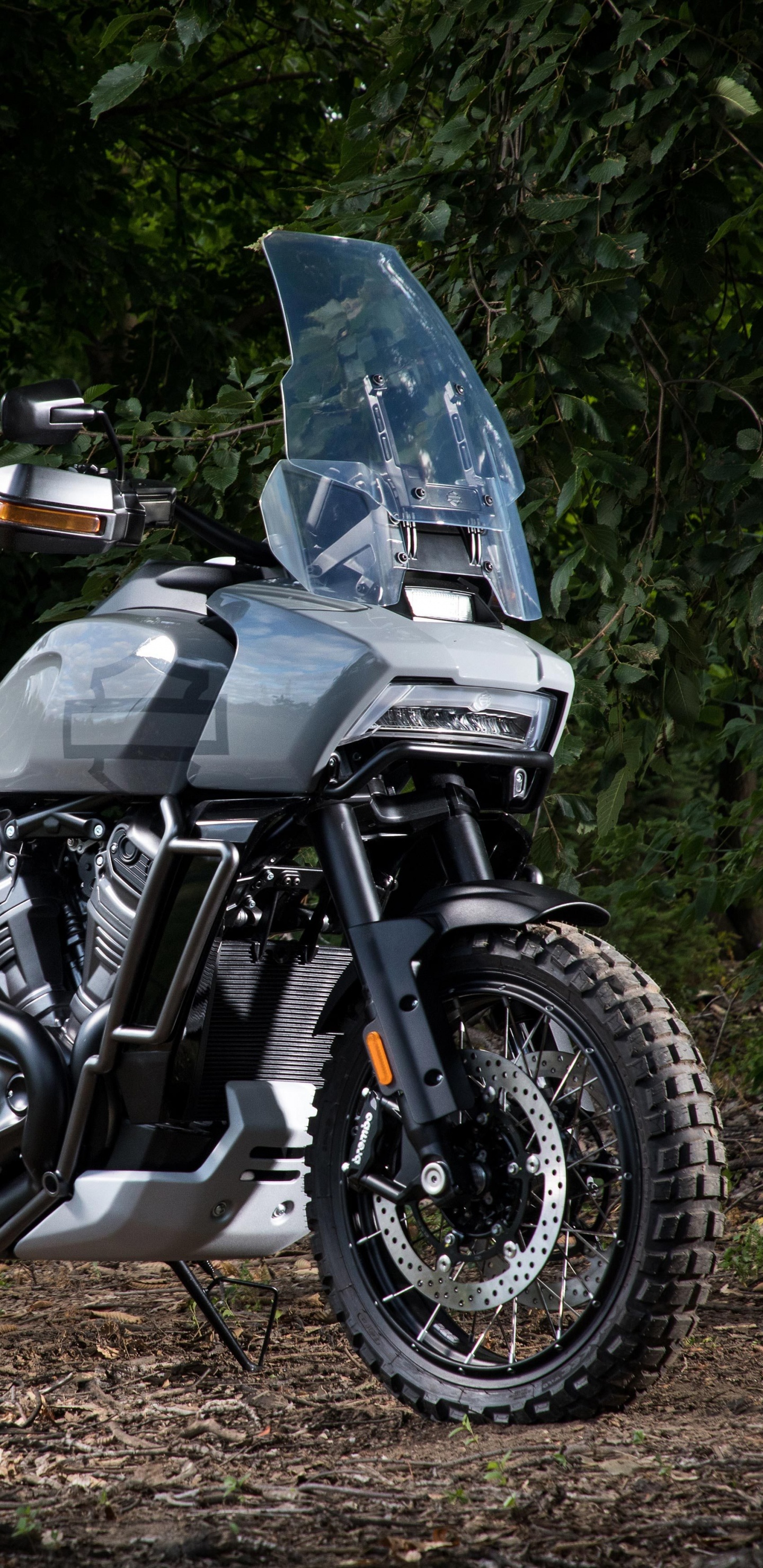 Обои Харлей-Дэвидсон Пан Америка, мотоцикл, авто, дерево, автомобильные запчасти в разрешении 1440x2960