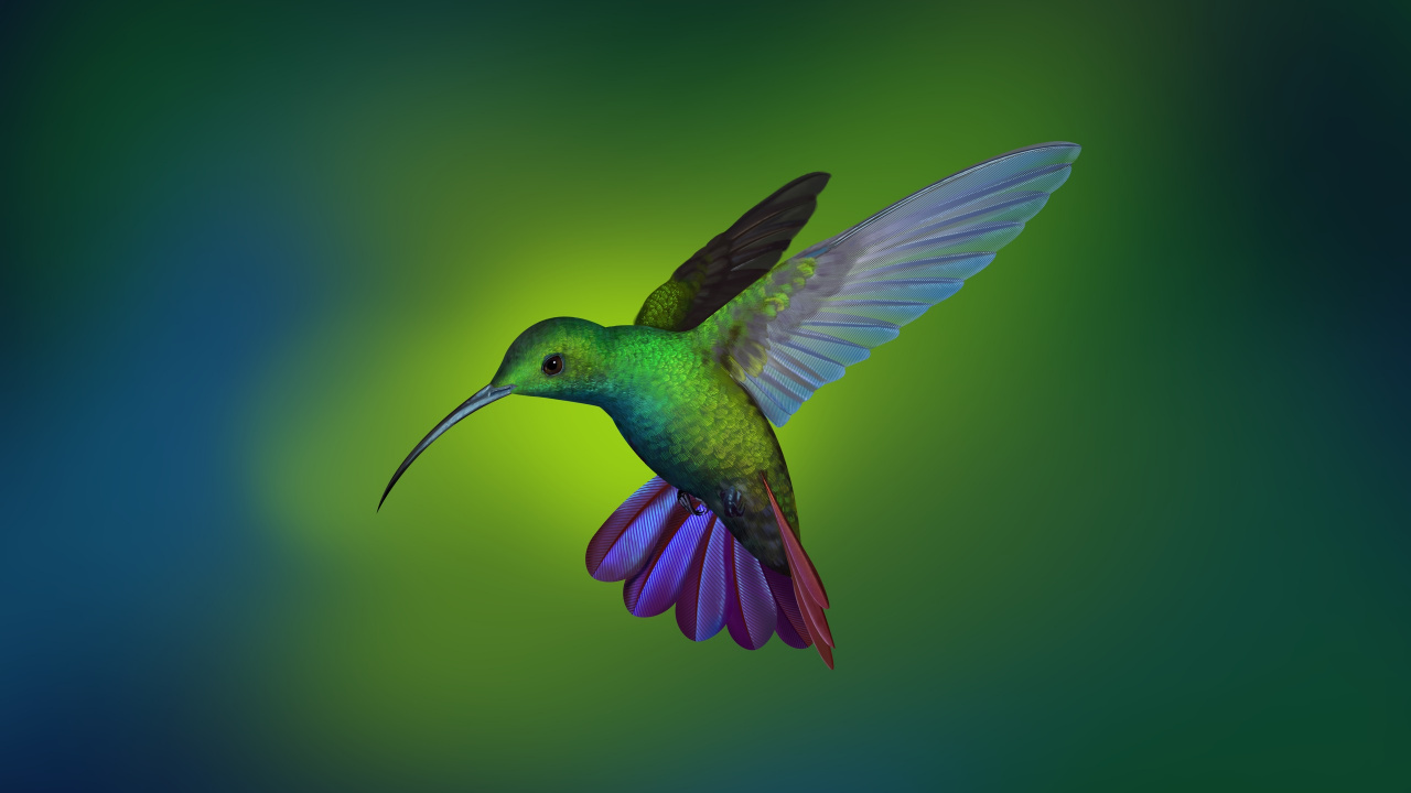 Обои Глубже, linux, Колибри, птица, клюв в разрешении 1280x720