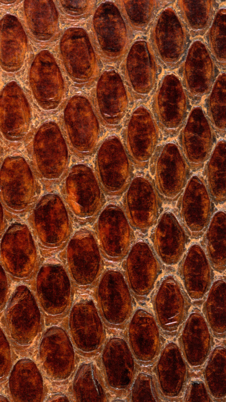 Обои узор, соты, змея, текстура, материал в разрешении 750x1334