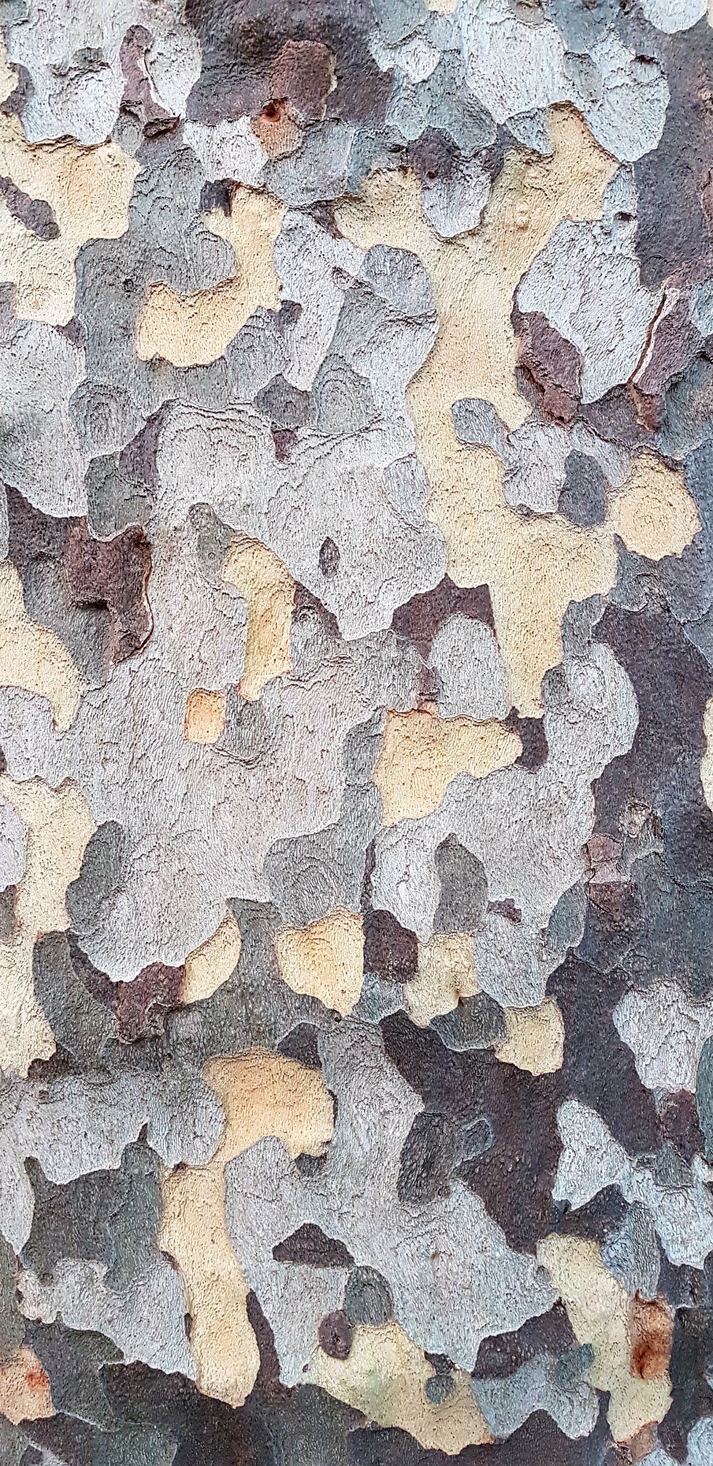 Обои стена, этаж, узор, дизайн, здание в разрешении 1440x2960