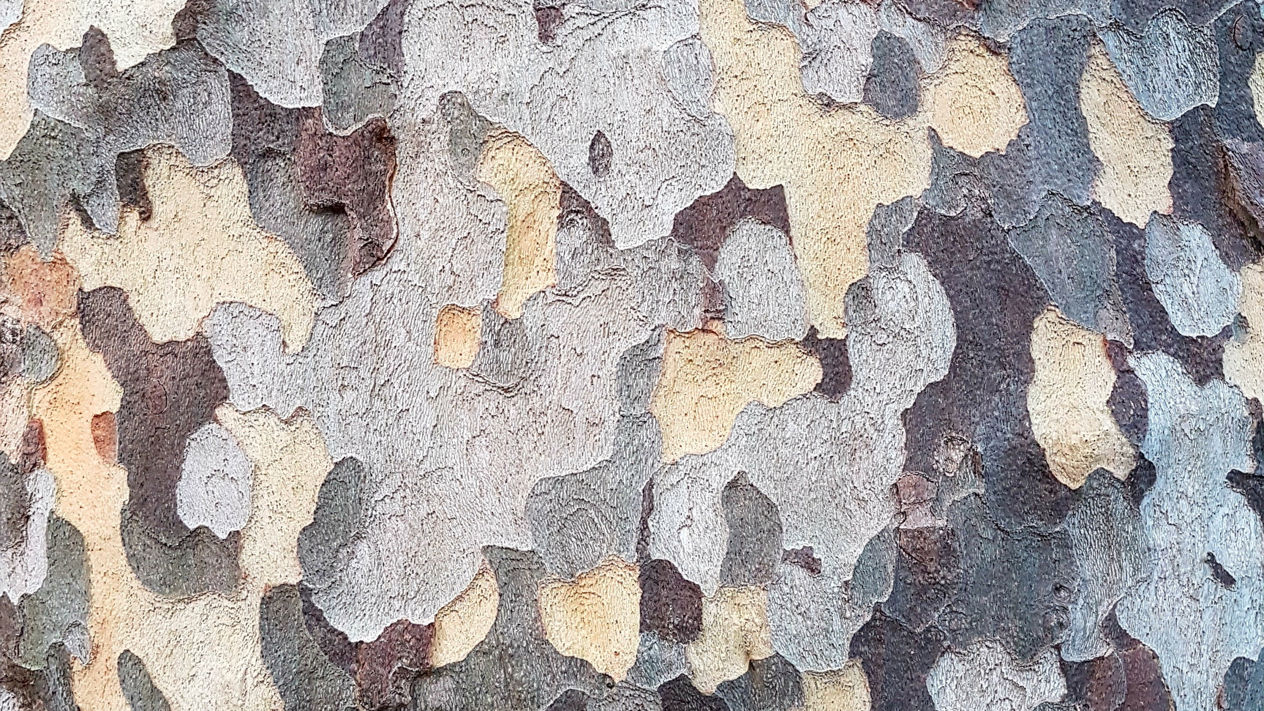 Обои стена, этаж, узор, дизайн, здание в разрешении 2560x1440