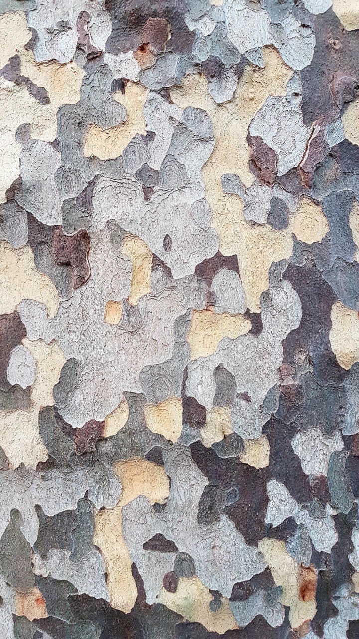 Обои стена, этаж, узор, дизайн, здание в разрешении 720x1280