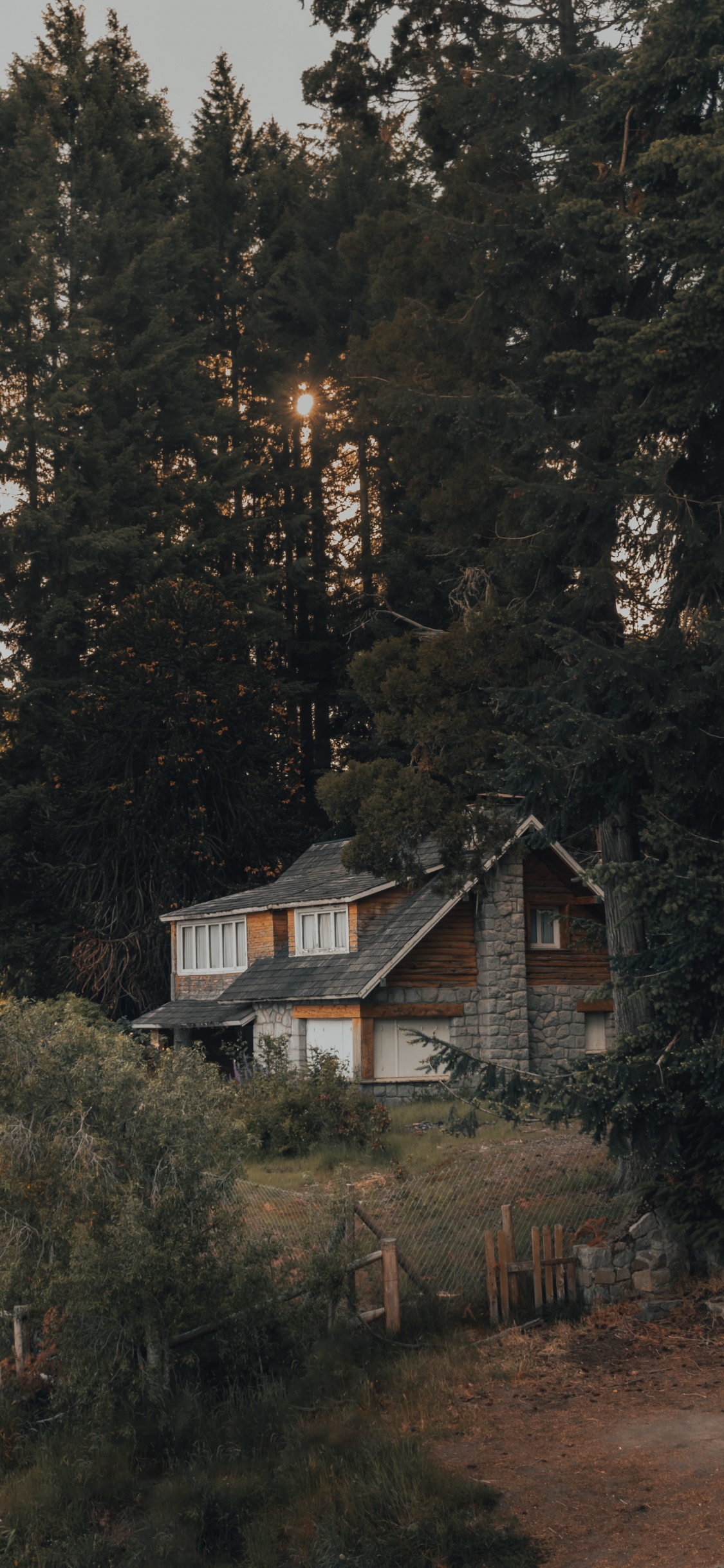 Обои лес, Хаус, родина, дерево, здание в разрешении 1125x2436