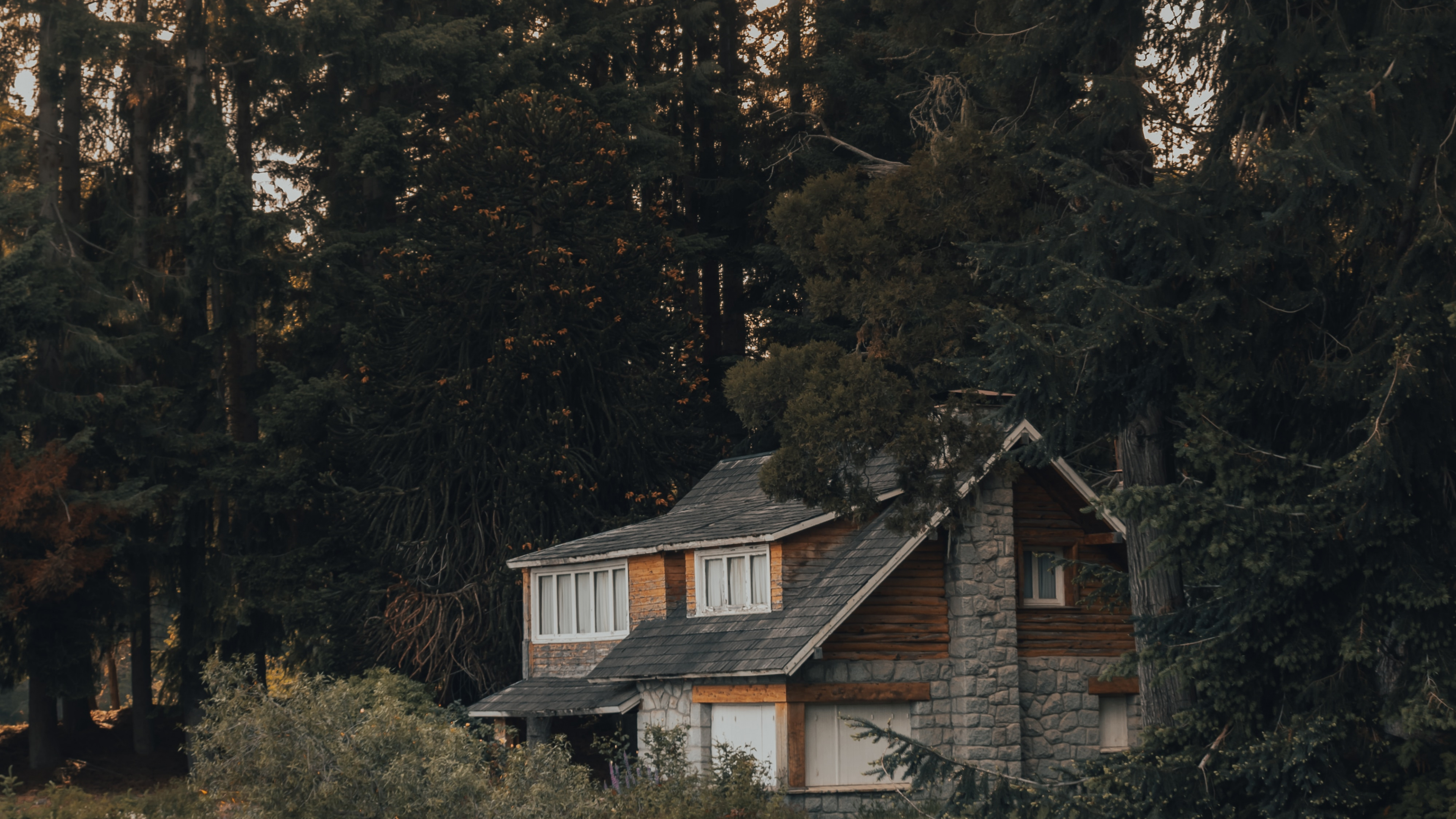 Les house. Домик в лесу осенью в сумерках. Хаус в лесу. Обои домик в лесу. Обои дом в лесу.