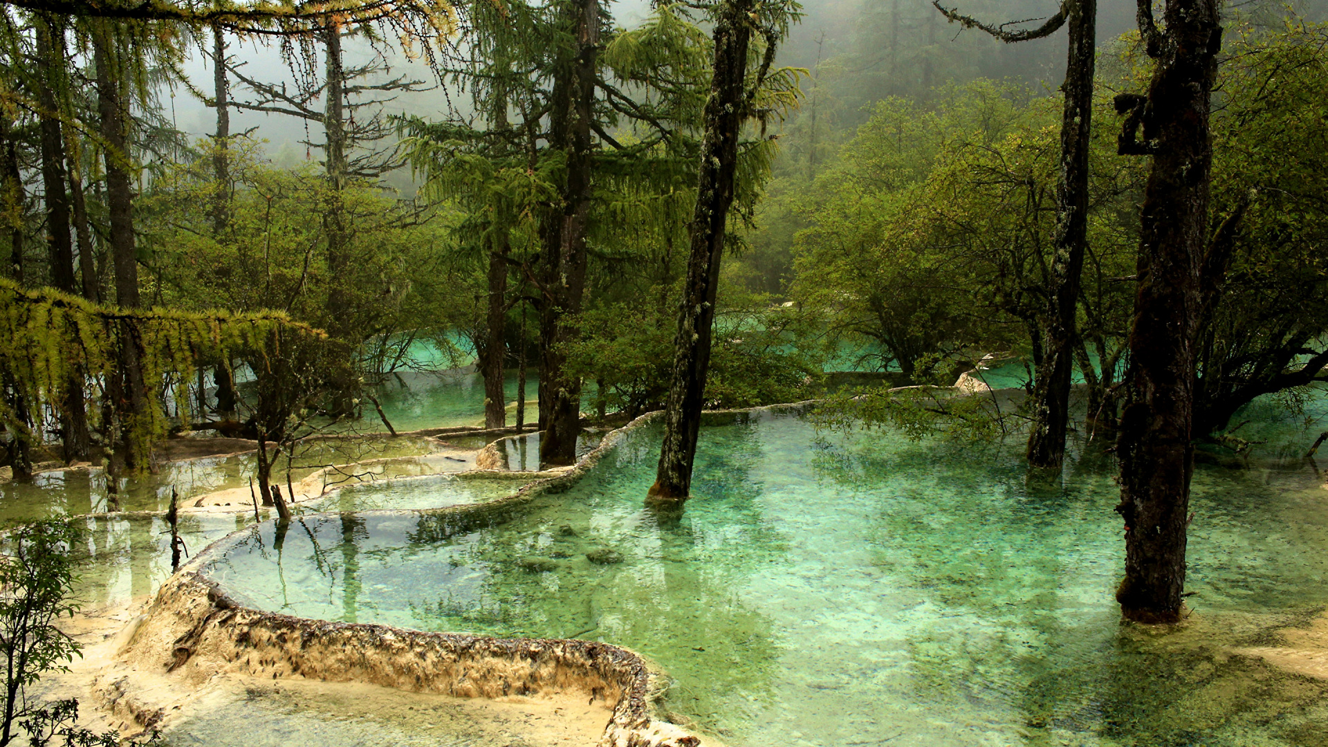 Обои Уезд Цзючжайгоу, природа, природный заповедник, вода, растительность в разрешении 1920x1080