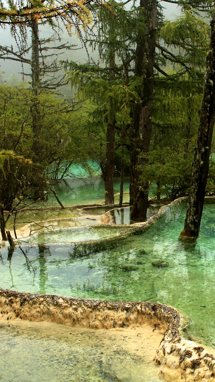 Обои Уезд Цзючжайгоу, природа, природный заповедник, вода, растительность в разрешении 750x1334