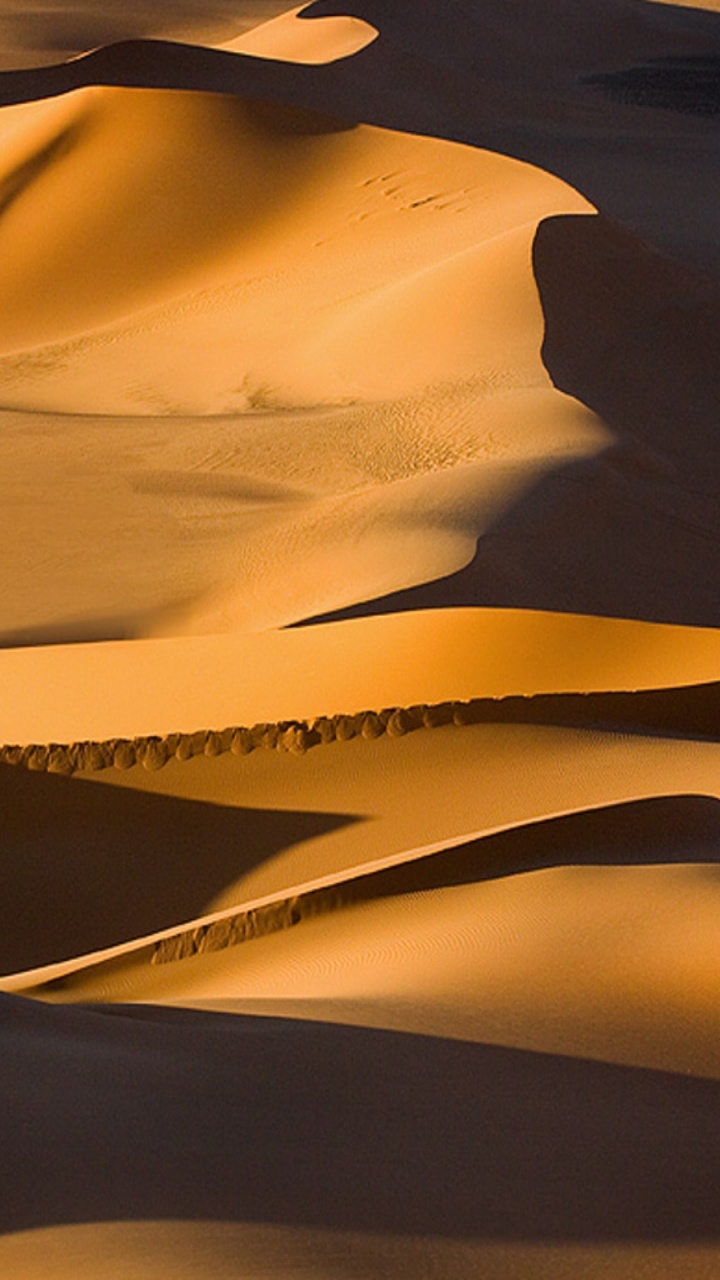 Обои эрг, поющий песок, песок, пустыня, эолийские рельефы в разрешении 720x1280