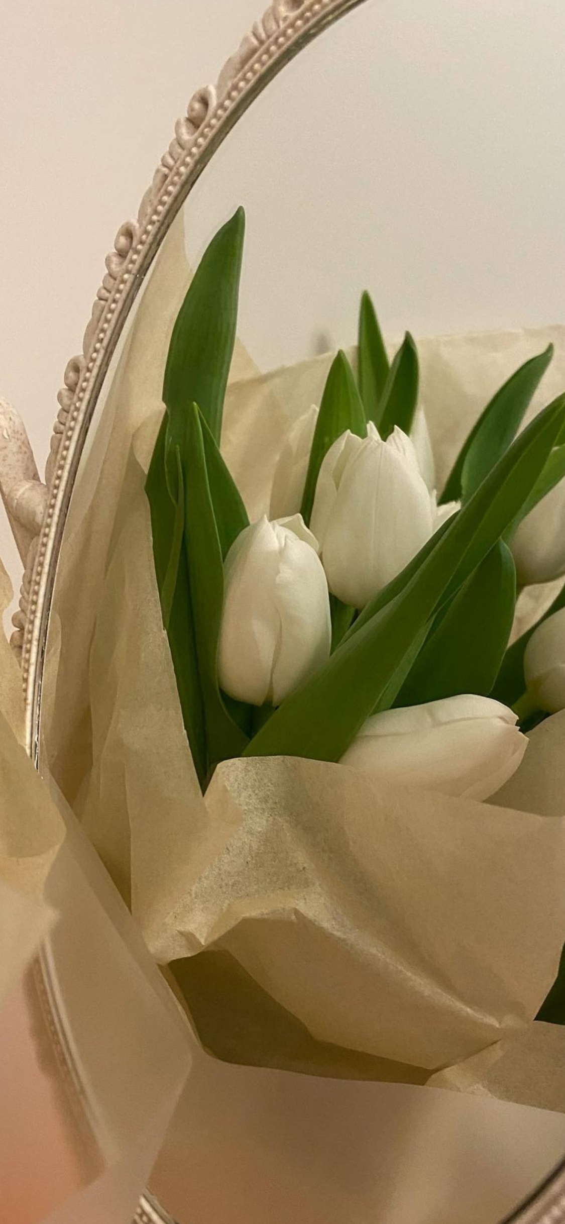 Обои искусственный цветок, цветок, растение, лепесток, цветочный горшок в разрешении 1125x2436