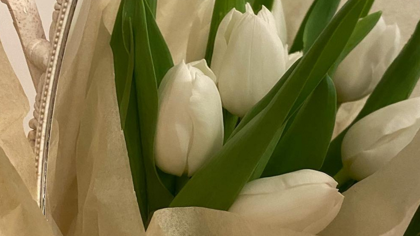 Обои искусственный цветок, цветок, растение, лепесток, цветочный горшок в разрешении 1366x768