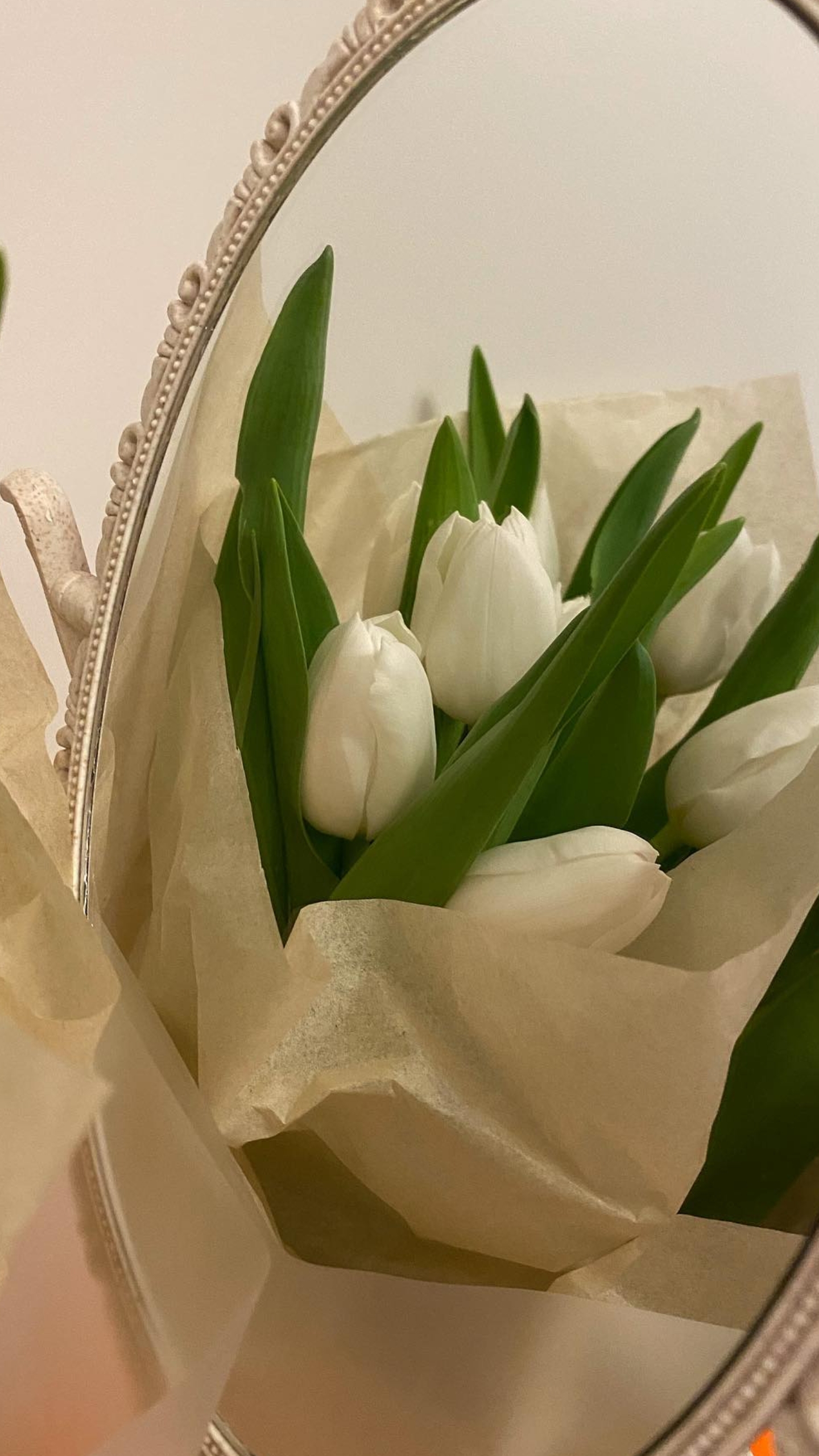 Обои искусственный цветок, цветок, растение, лепесток, цветочный горшок в разрешении 1440x2560