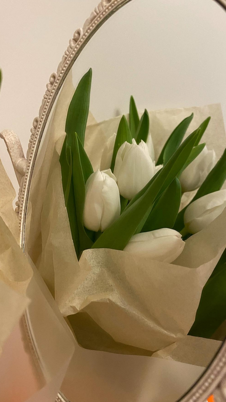 Обои искусственный цветок, цветок, растение, лепесток, цветочный горшок в разрешении 750x1334