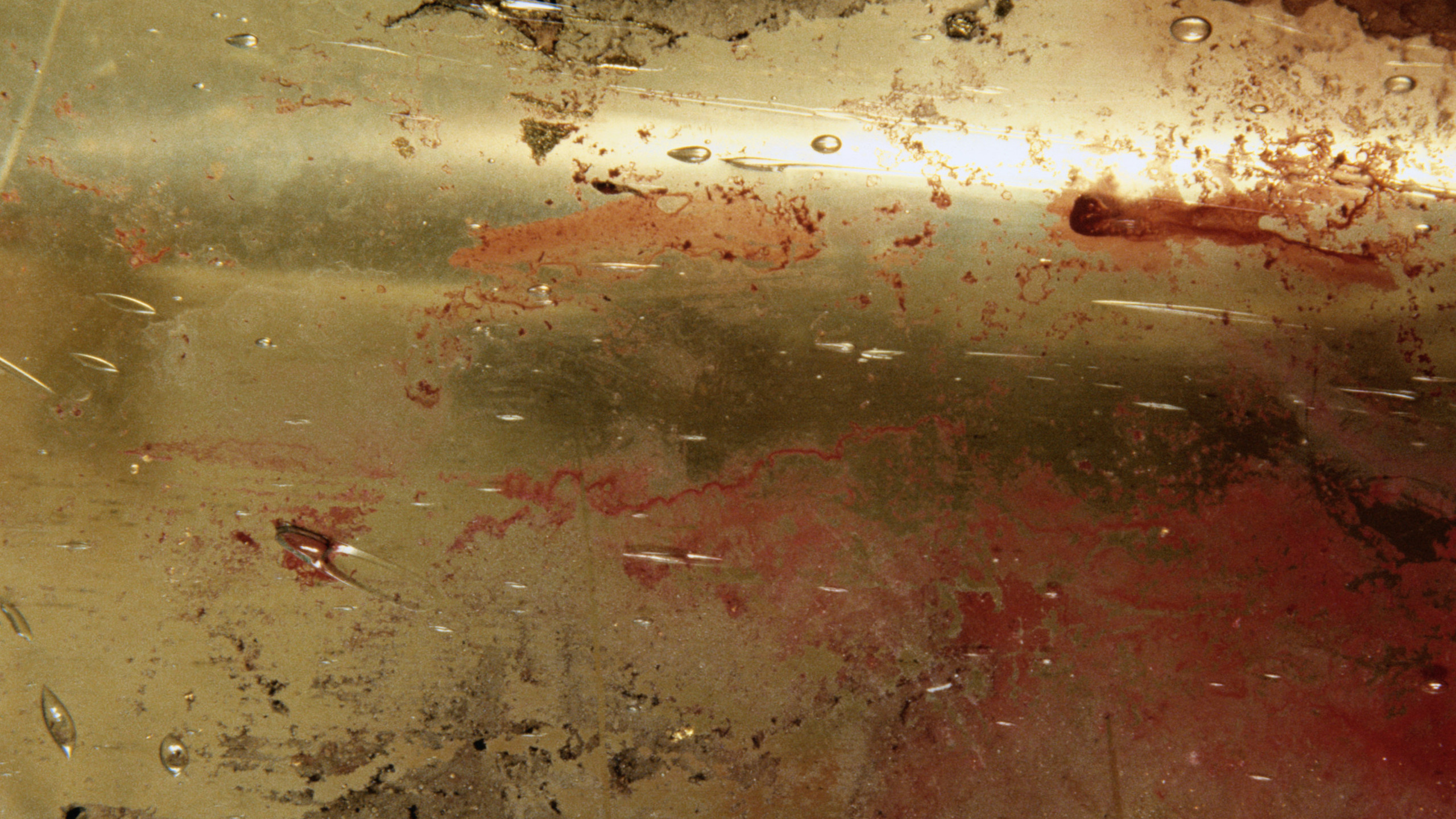 Обои ржавчина, вода, текстура, почва в разрешении 2560x1440