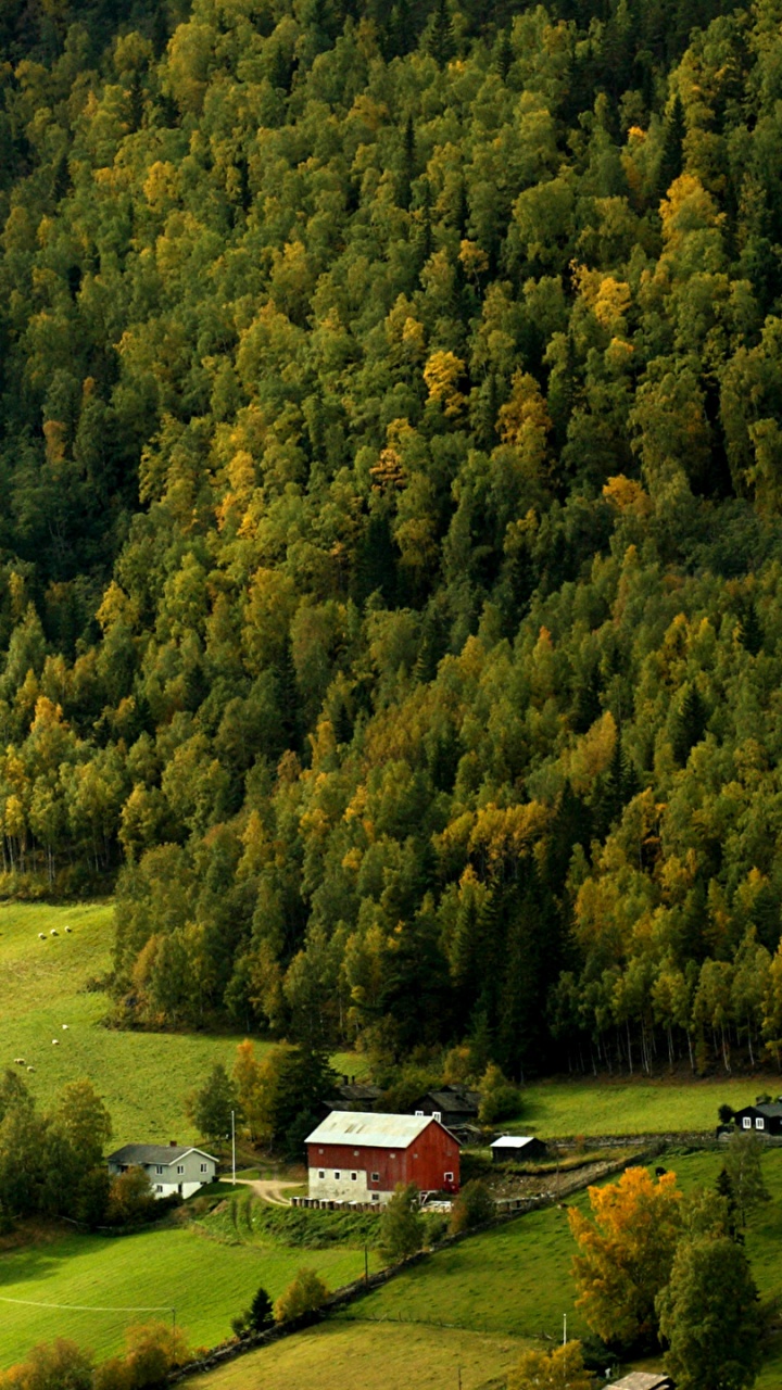 Обои Норвегия, лес, здание, природа, дерево в разрешении 720x1280