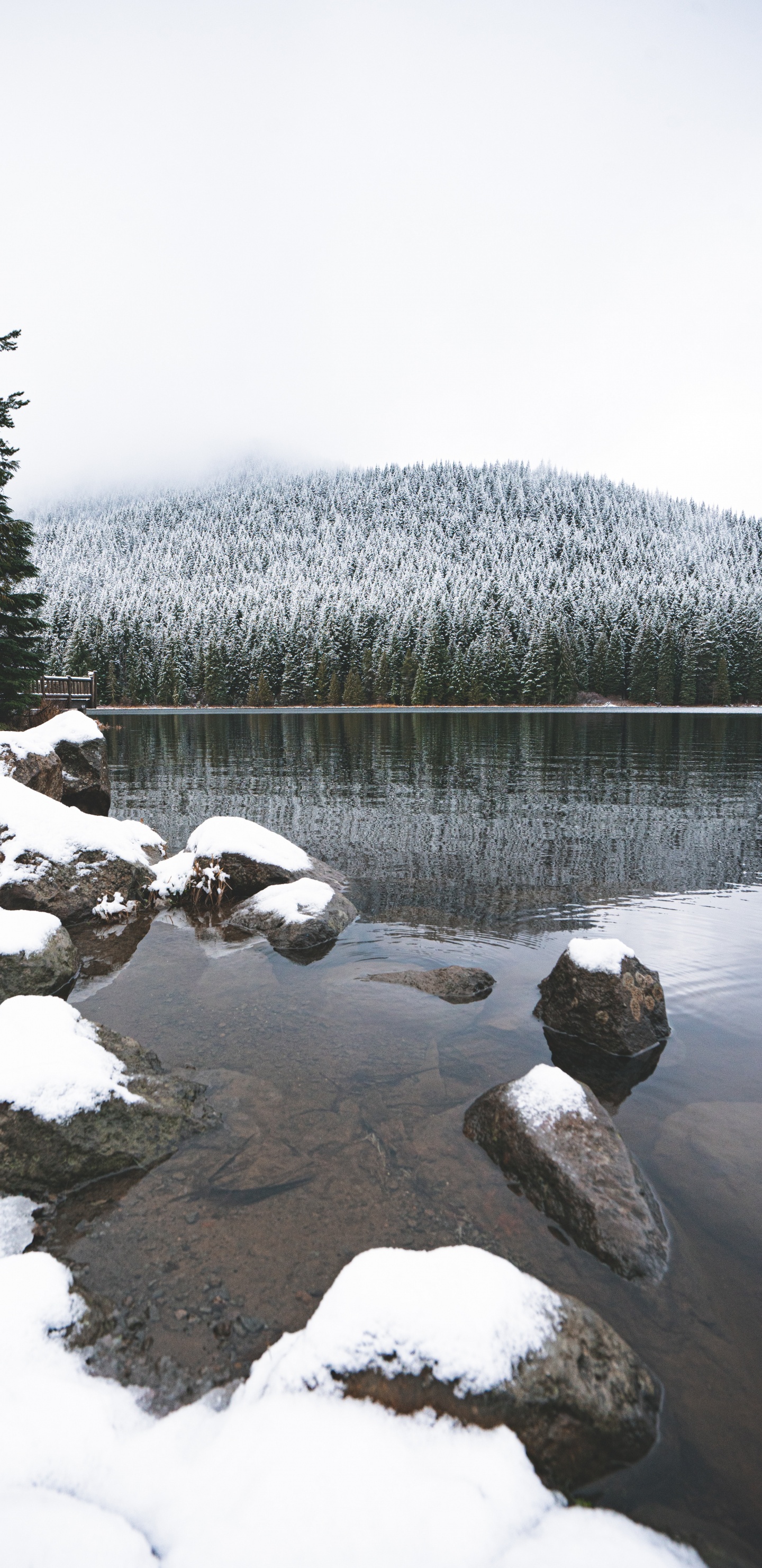 Обои дерево, гора, снег, зима, озеро в разрешении 1440x2960