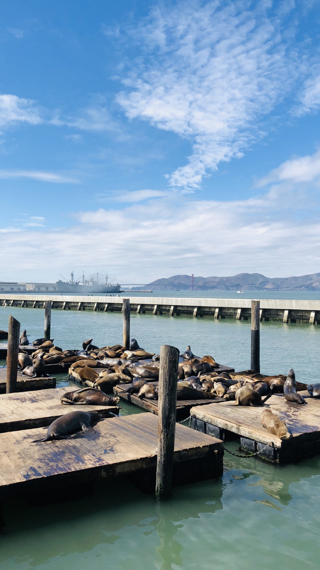 Обои Пирс, Сан Франциско, море, вода, облако в разрешении 1080x1920