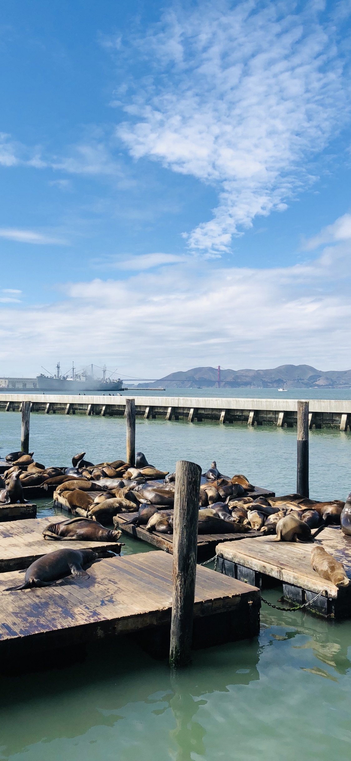 Обои Пирс, Сан Франциско, море, вода, облако в разрешении 1125x2436