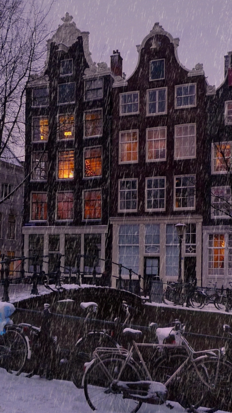 Обои Амстердам, снег, дерево, вечер, родина в разрешении 750x1334
