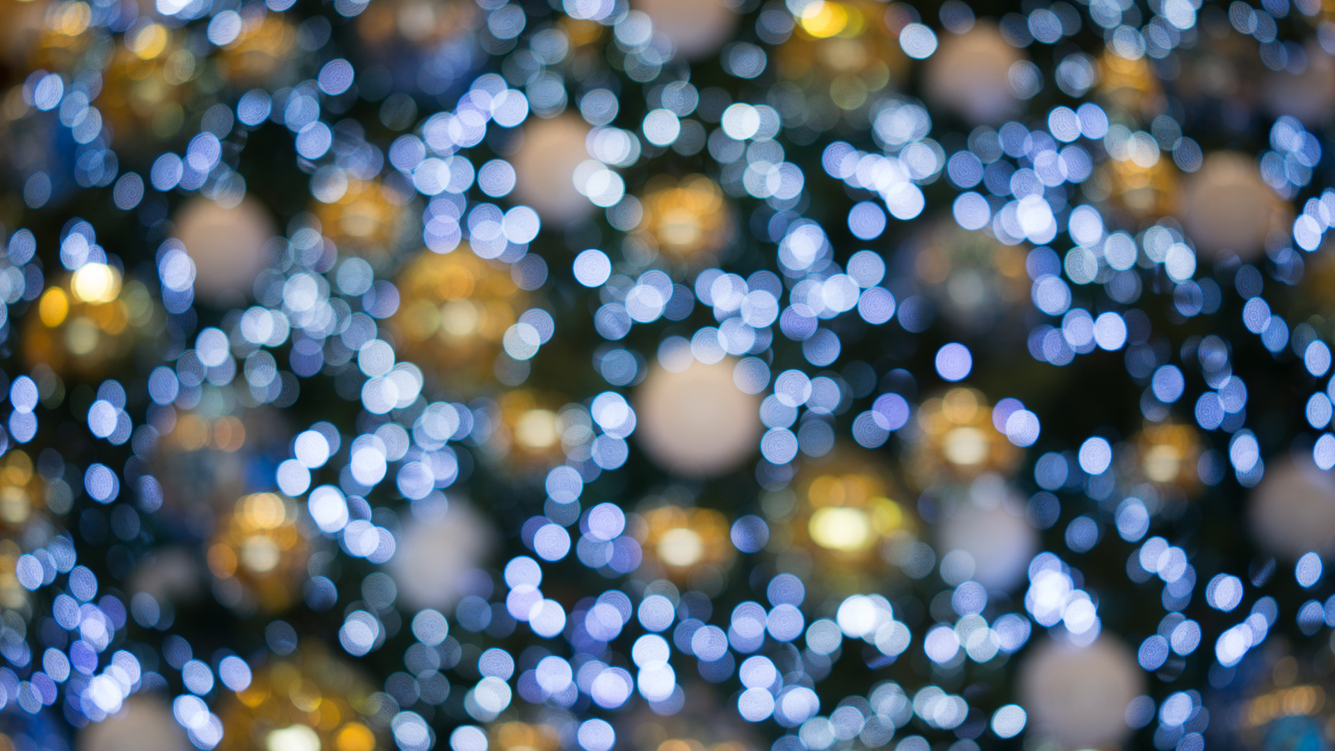 Обои вода, синий, дерево, зима, синий цвет в разрешении 1920x1080