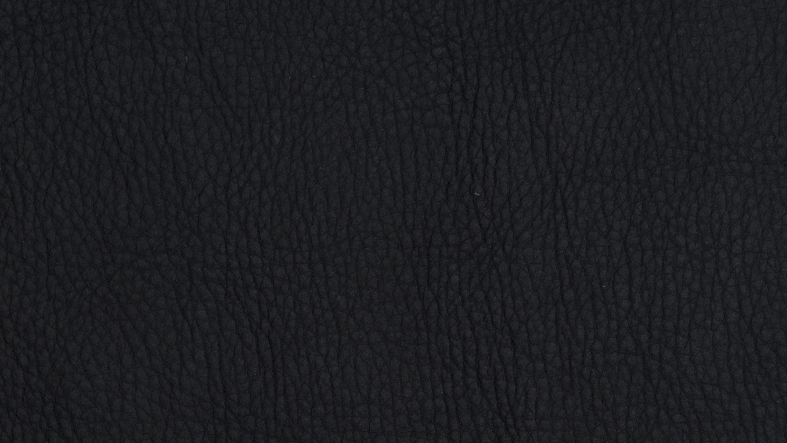 Обои черный, небо, футболка, куртка, темнота в разрешении 2560x1440