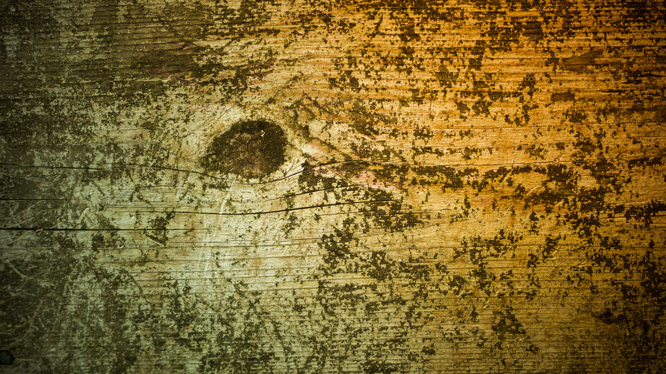 Обои текстура, древесина, стена, дерево, краска в разрешении 1366x768