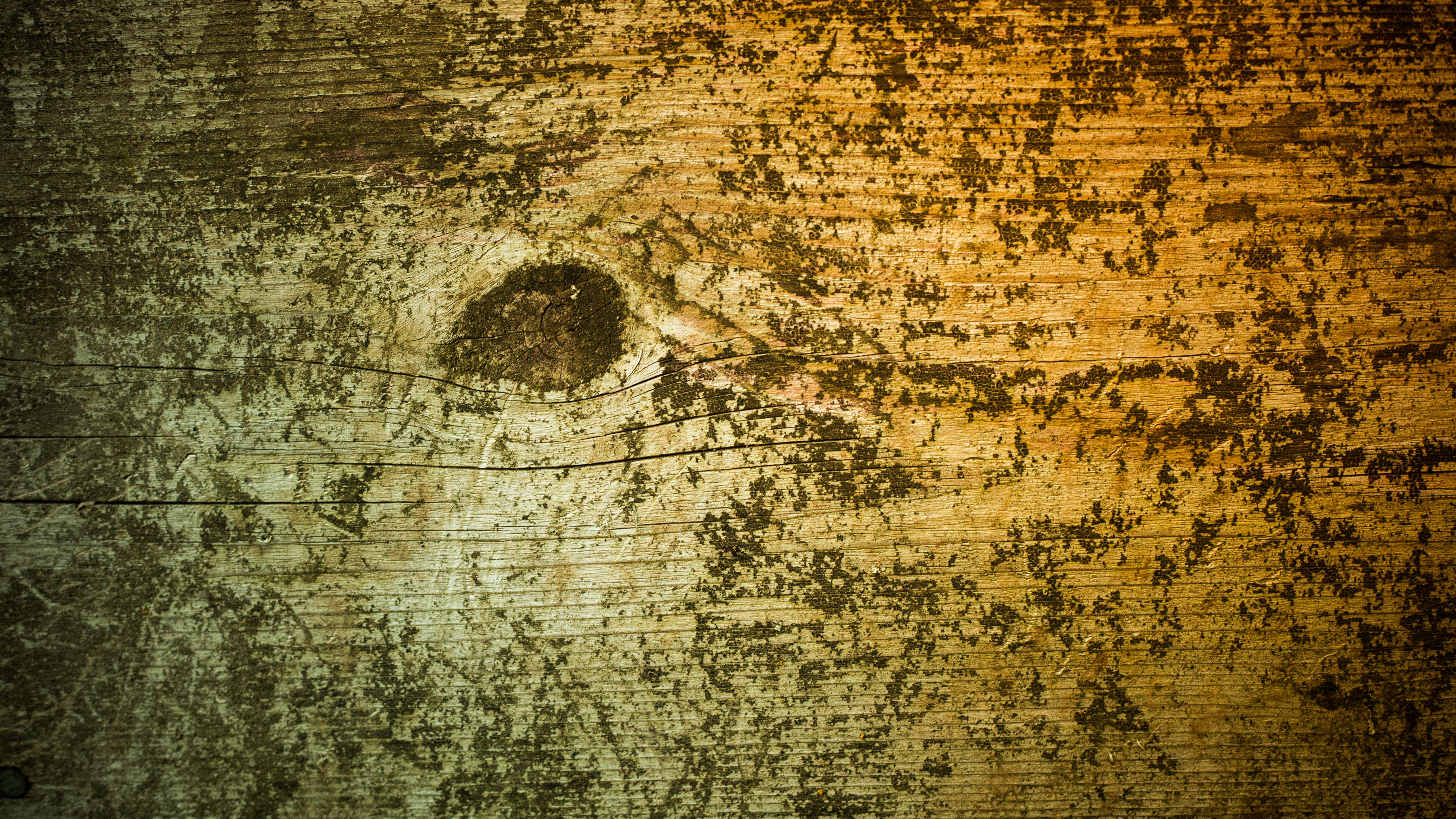 Обои текстура, древесина, стена, дерево, краска в разрешении 3840x2160