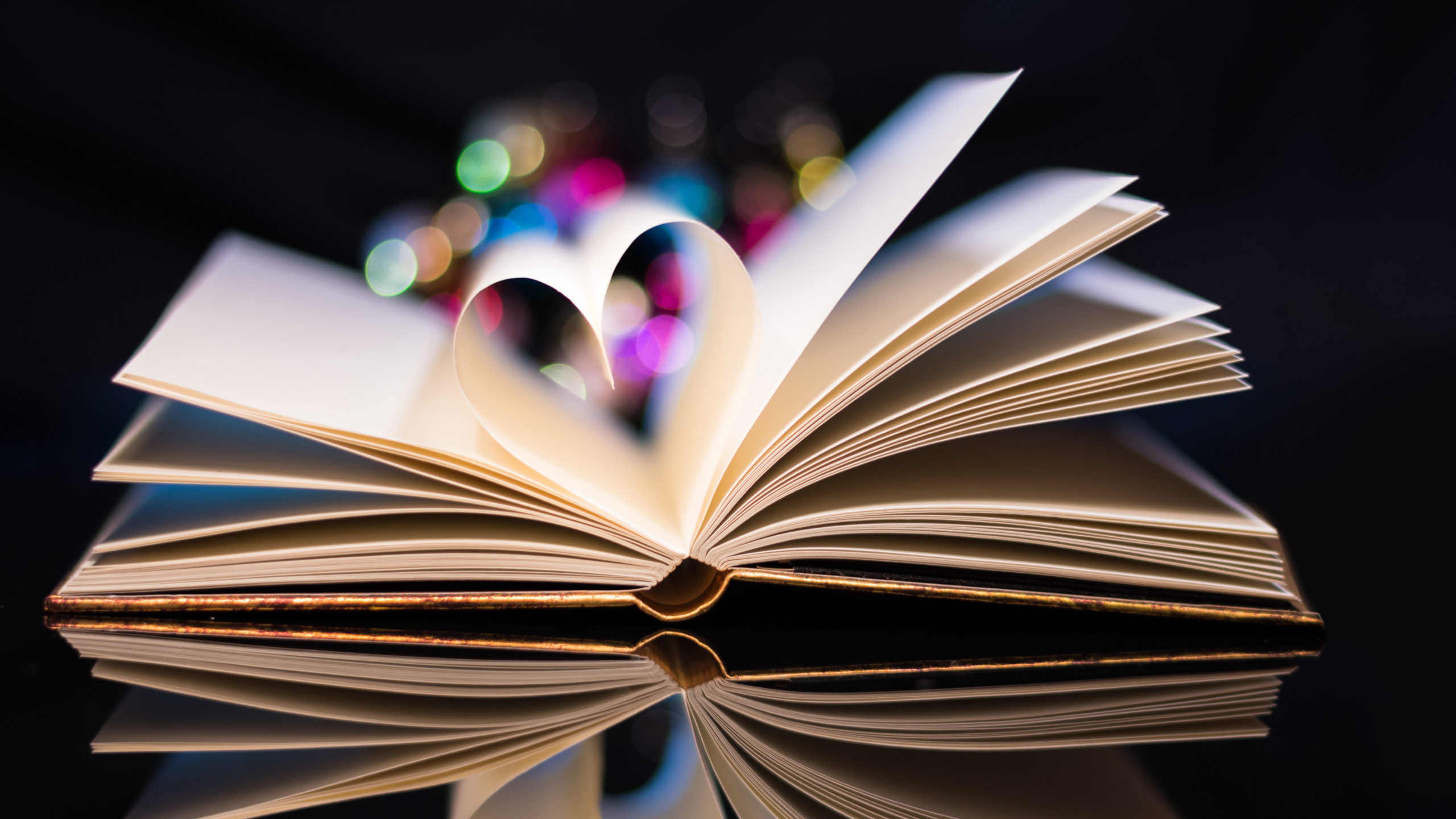 Обои книга, сердце, синий, свет, розовый в разрешении 2560x1440