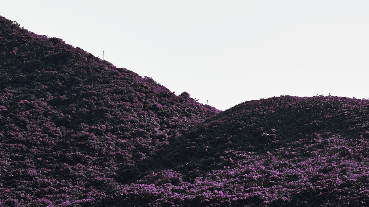 Обои черный, пурпур, нагорье, горный рельеф, Фиолетовый в разрешении 1280x720