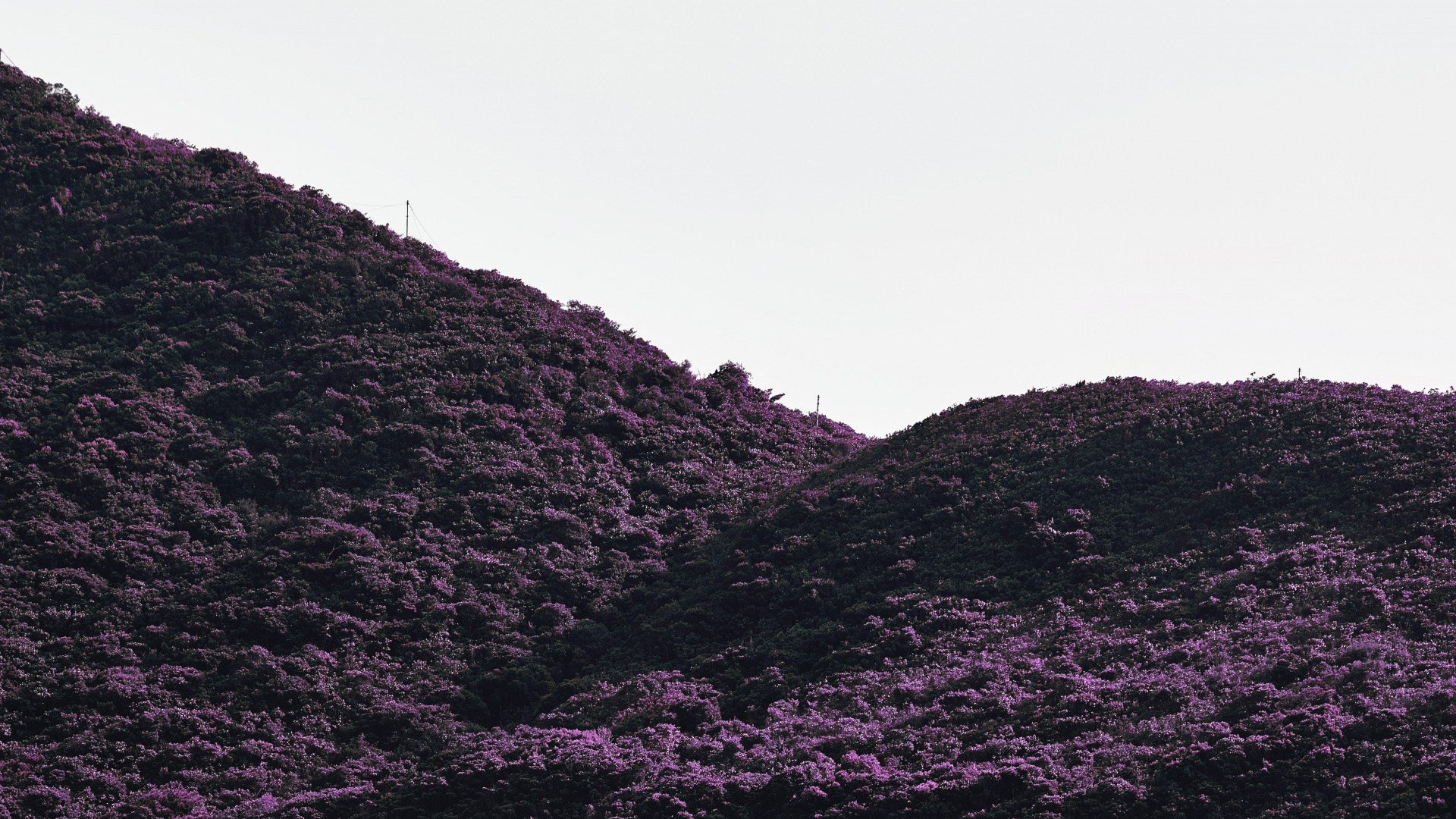 Обои черный, пурпур, нагорье, горный рельеф, Фиолетовый в разрешении 1920x1080