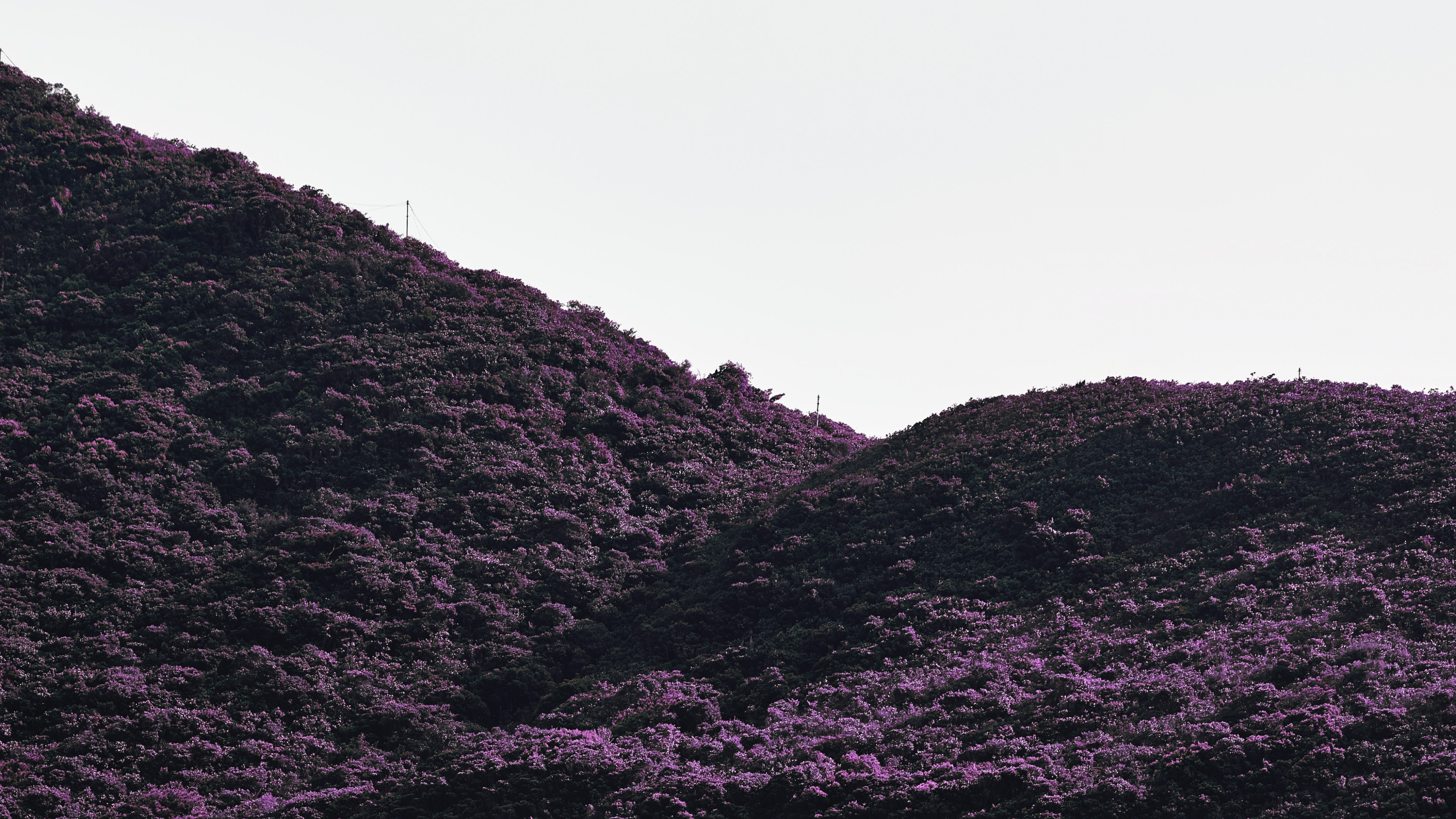 Обои черный, пурпур, нагорье, горный рельеф, Фиолетовый в разрешении 3840x2160