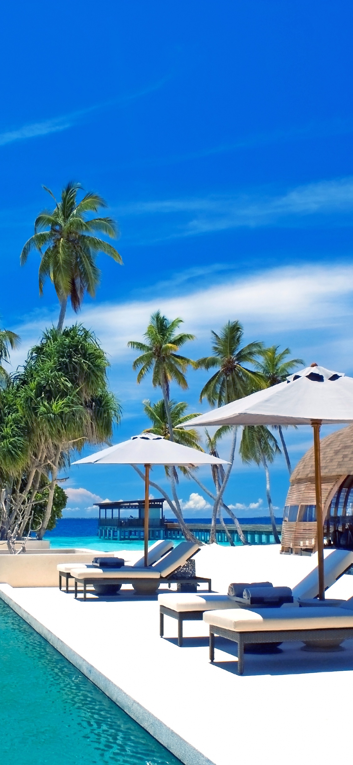 Обои Парк Hyatt Hadahaa Мальдивы, путешествие, прибежище, Алила отели и курорты, свойство в разрешении 1125x2436