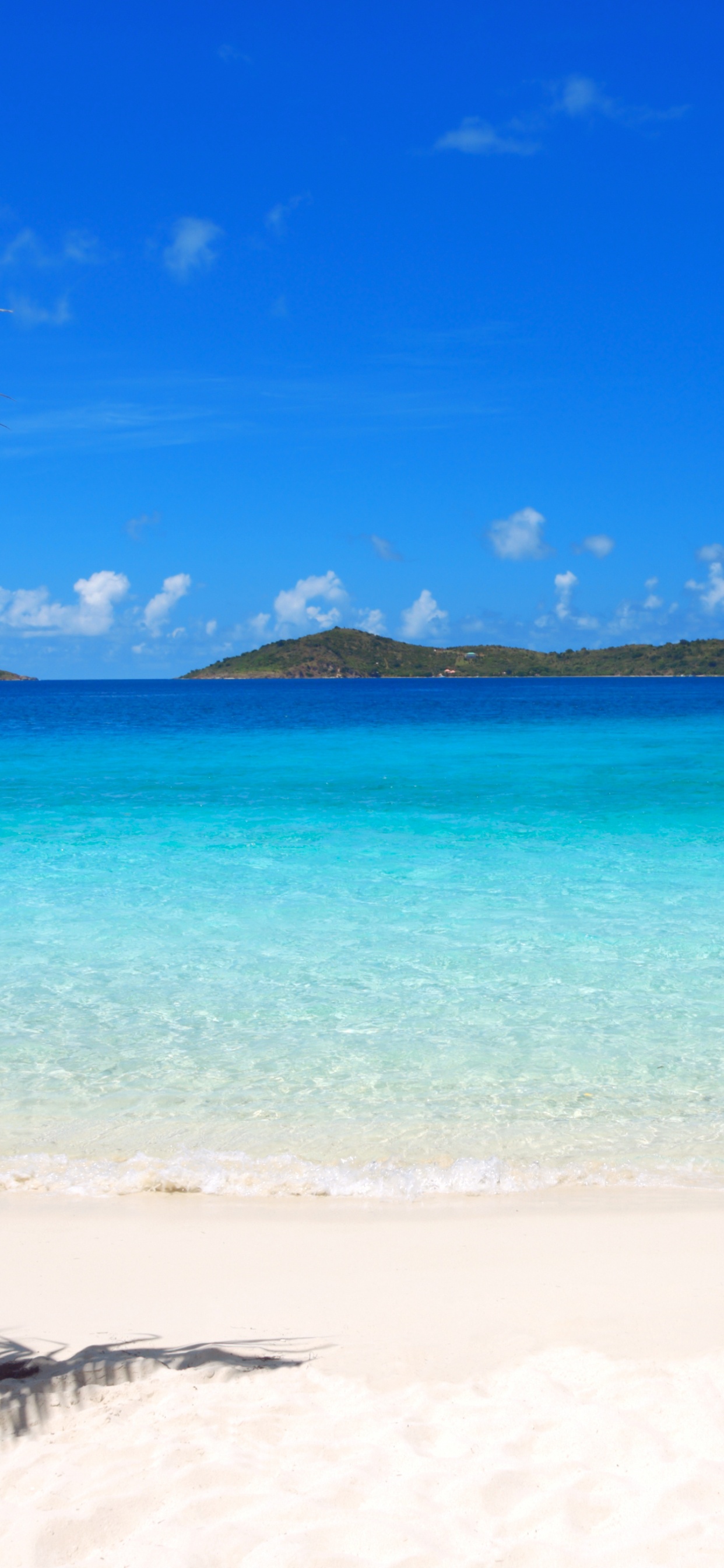 Обои девственный пляж острова, Сент-Томас, Остров Чартеры Корни, пляж, тропическая зона в разрешении 1242x2688