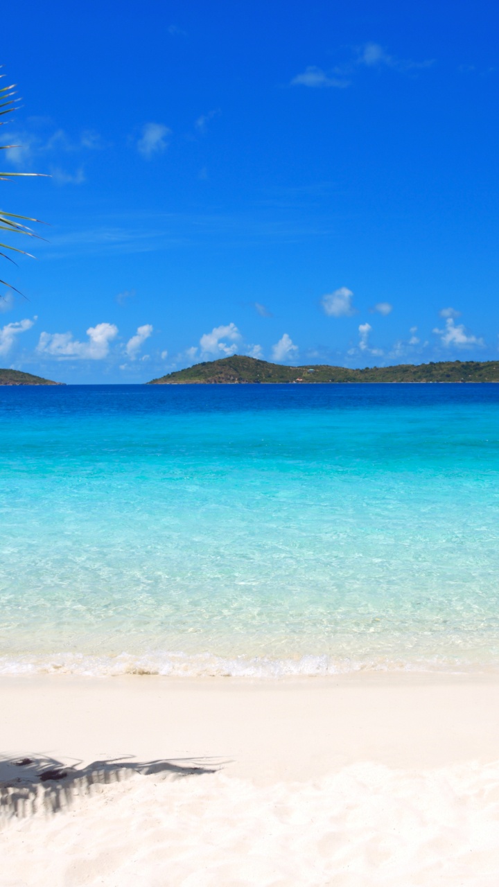 Обои девственный пляж острова, Сент-Томас, Остров Чартеры Корни, пляж, тропическая зона в разрешении 720x1280