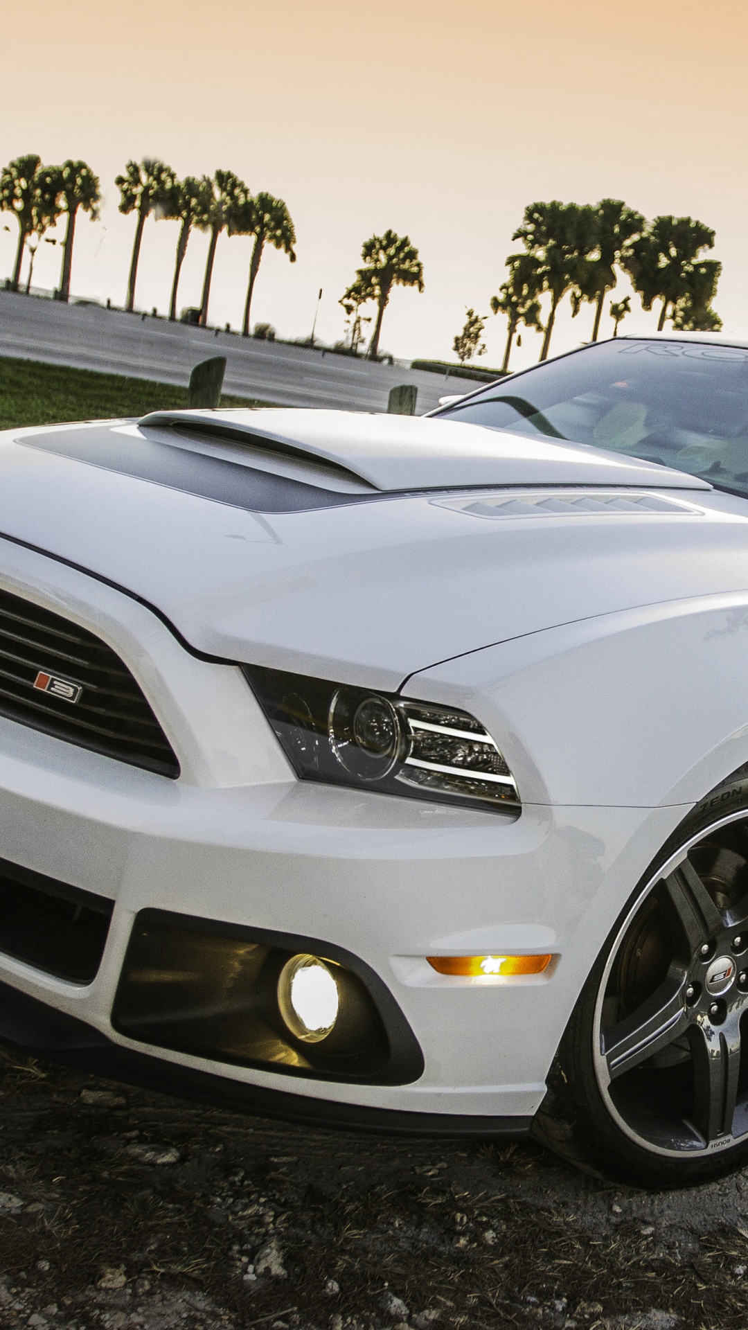 Обои 2009 Форд Мустанг, Шелби Мустанг, компания Ford, ford, авто в разрешении 1080x1920