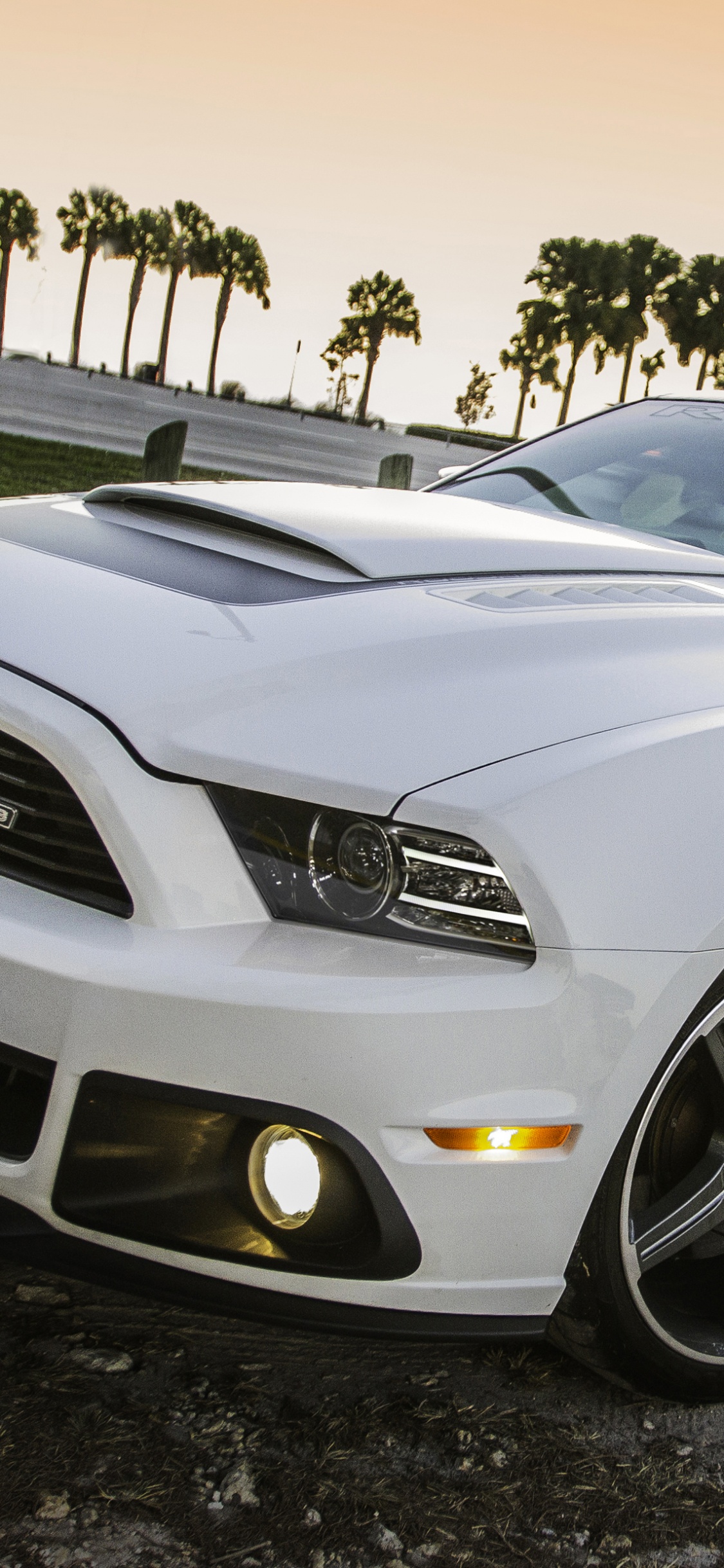 Обои 2009 Форд Мустанг, Шелби Мустанг, компания Ford, ford, авто в разрешении 1125x2436