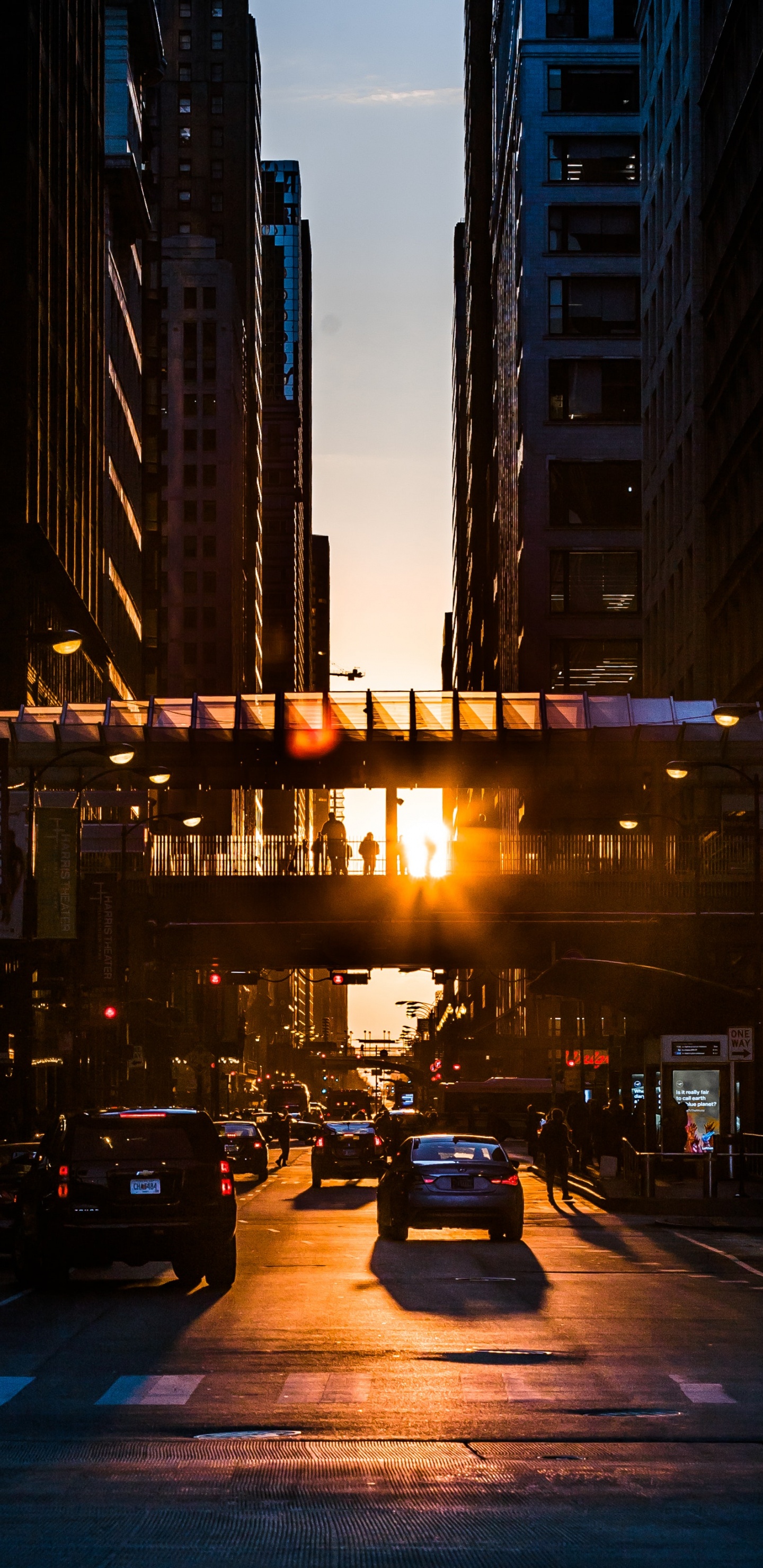 Обои городской район, метрополия, город, ночь, улица в разрешении 1440x2960