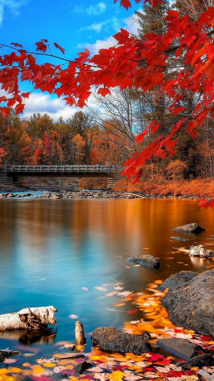 Обои национальный парк Килларни, алгонкинский провинциальный парк, национальный парк банф, провинциальный парк Килларни, национальный парк в разрешении 720x1280
