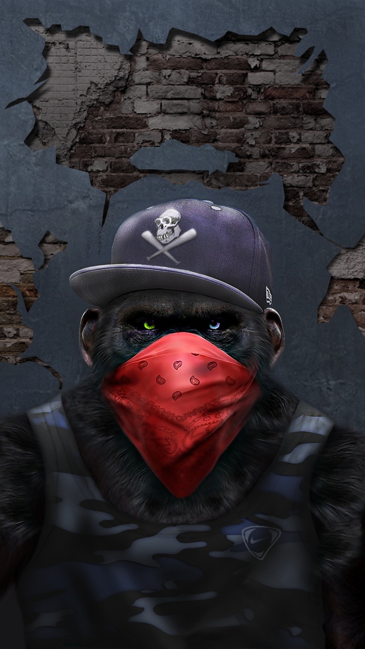 Обои обезьяна с банданой, постер, живопись, арт, холст в разрешении 720x1280