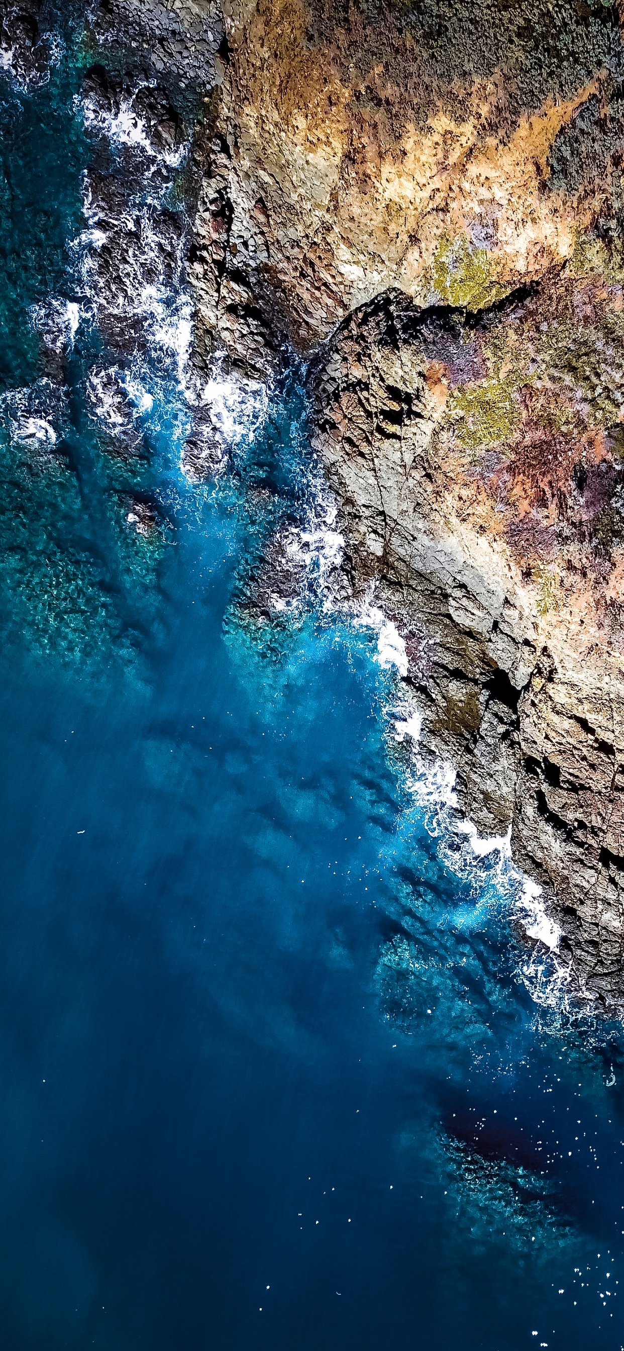 Обои отражение, земля, гидроресурсы, вода, водоем в разрешении 1242x2688